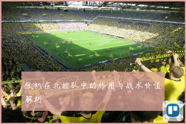 张帆在北控队中的作用与战术价值解析