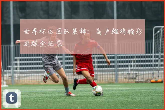 世界杯法国队集锦：高卢雄鸡精彩进球全记录